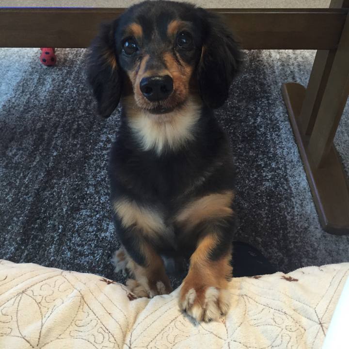 A0b7899e 5a82 45c3 b032 96a2b84e5a5e