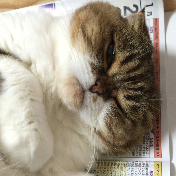 A0b7e1d2 feb6 4984 9012 193b2b3f0c87