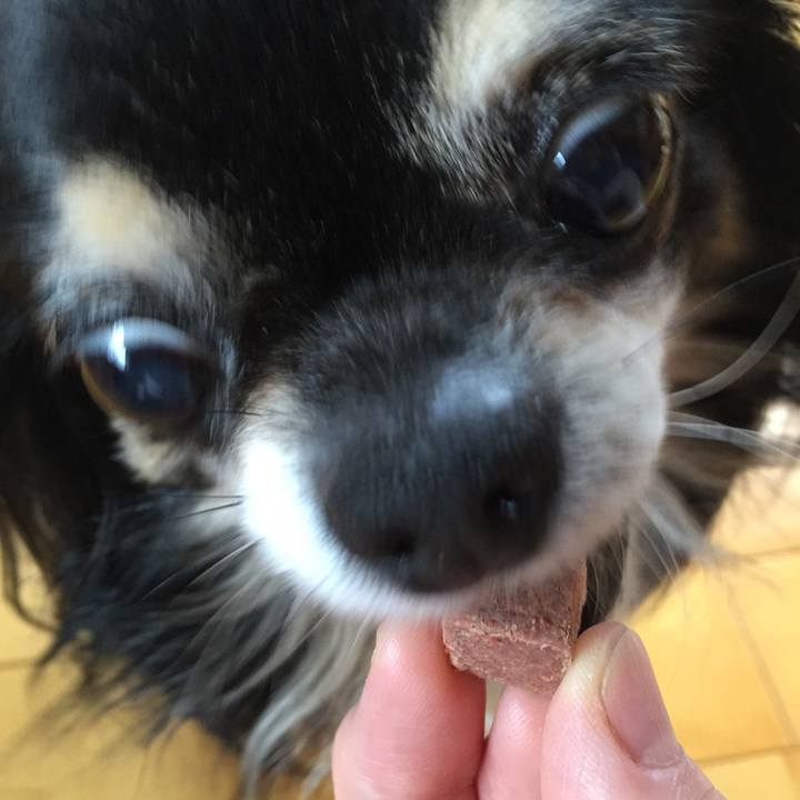 A0b995b9 e2b3 4017 8d63 8d6563822a4a