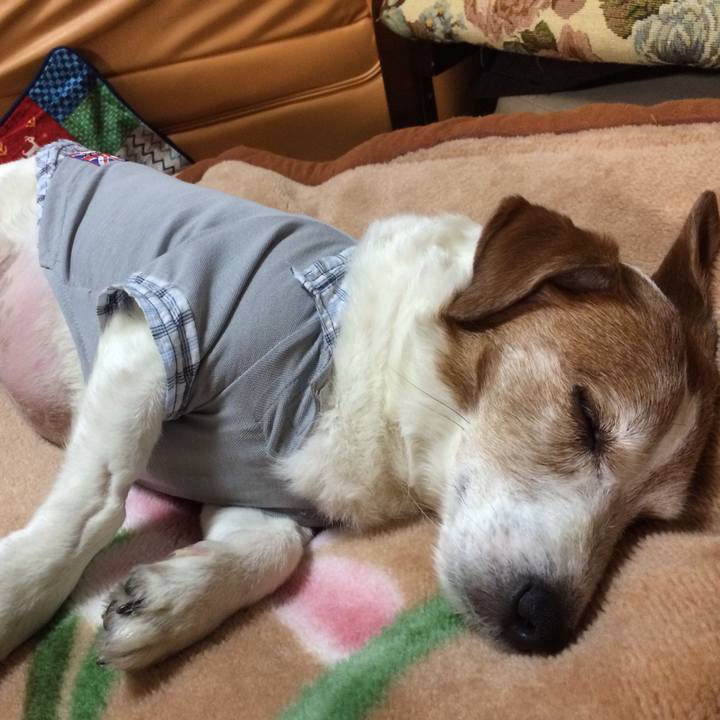 A0ba207e ba2b 4c98 adeb 2ef73982ea1b