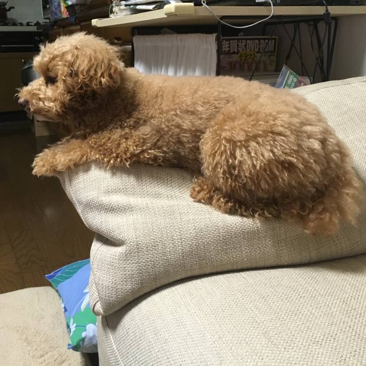 A0ba9d6c 0a0e 4c58 a8d2 b48d1ee0750e