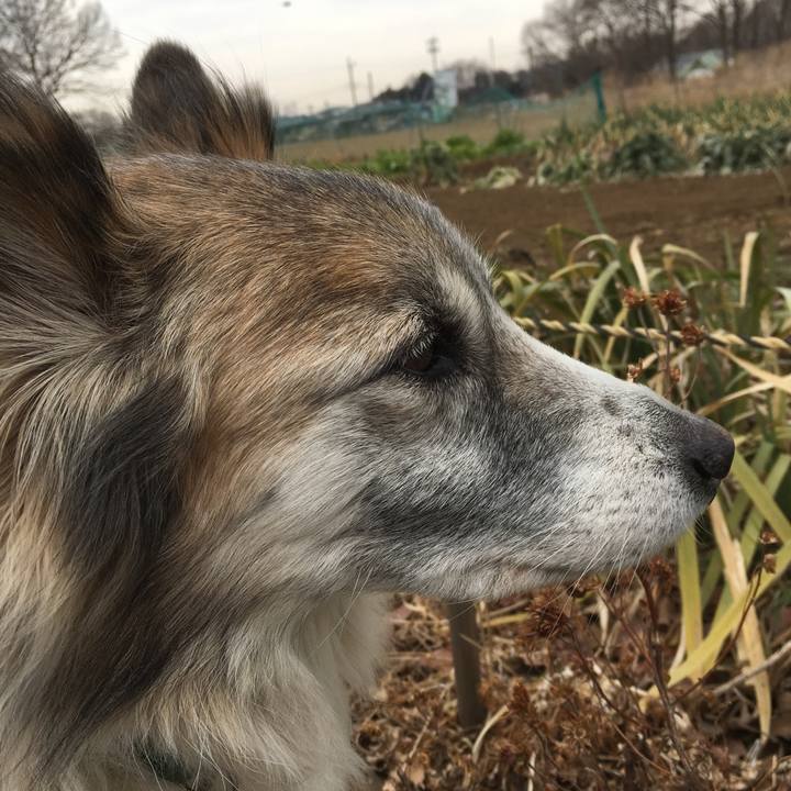 A0bb8ab4 b936 4e0a a241 2ed873220e88