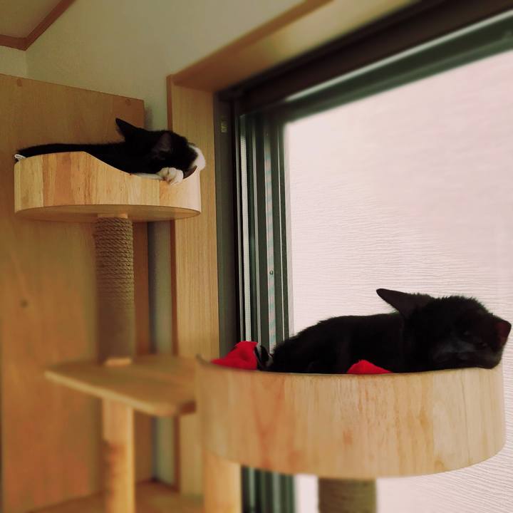 A0bc34f6 4799 46b9 8bd2 b7a2de433014