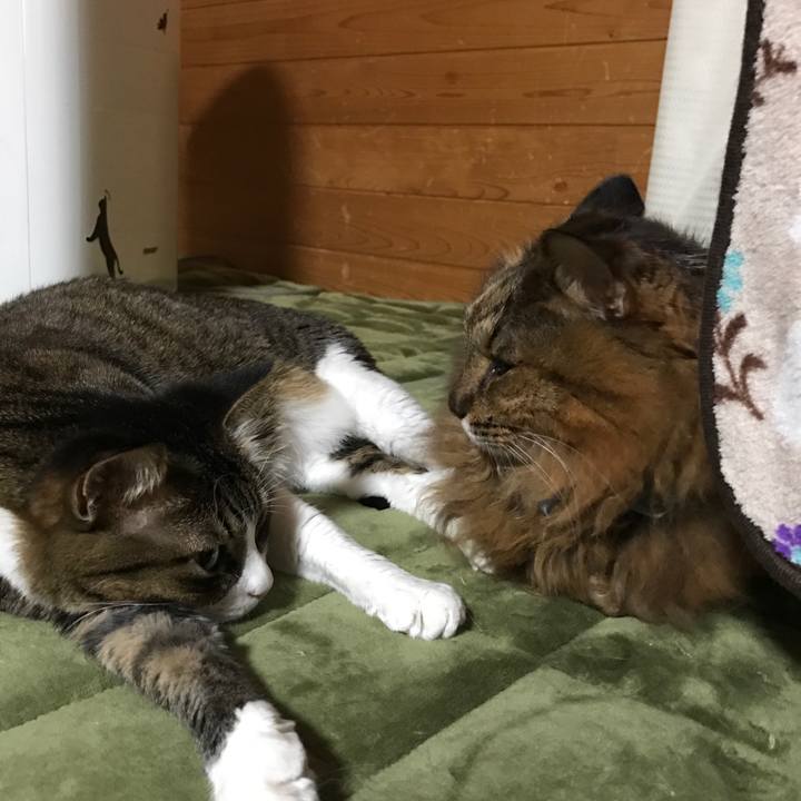 A0bc5fb0 9b8a 4556 9c2d d45d6efceed6