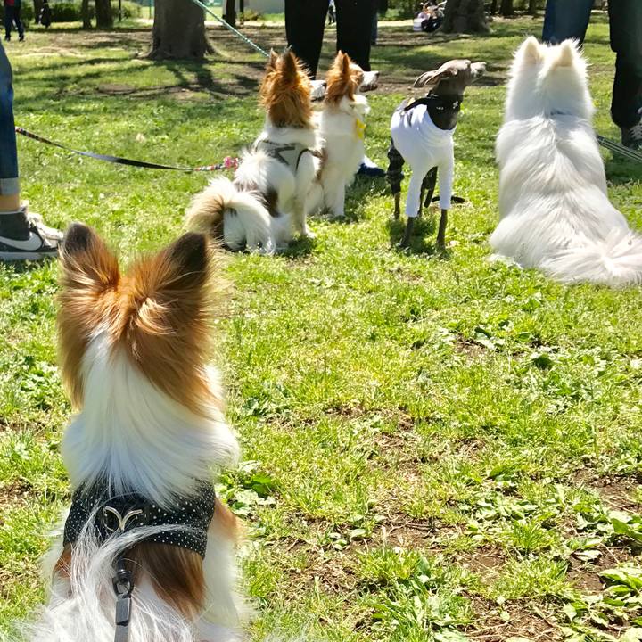 A0bc7ef3 499b 435f b30f 0410660a6100