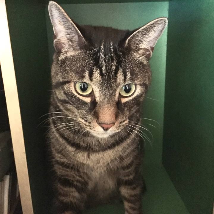 A0bce49b 87fb 4a24 8d27 2d90cf9f933a