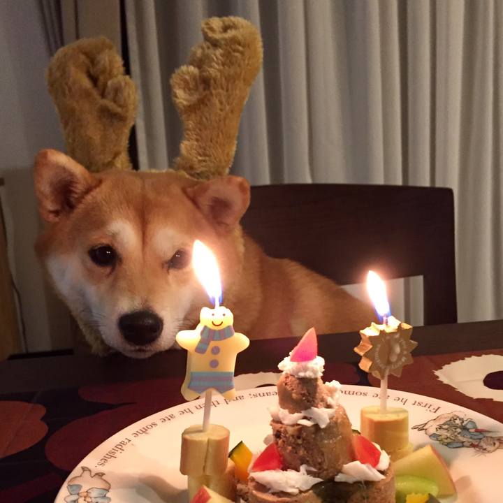 A0bcf4f2 3eb5 4c00 ae0d 348c38d6d90c