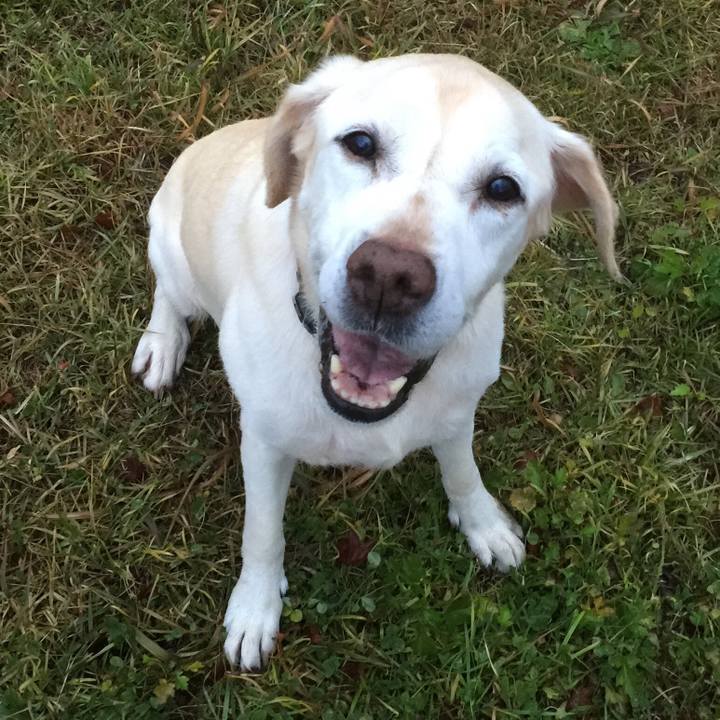 A0be1f5e 186f 40b1 b0b3 101683fe868d