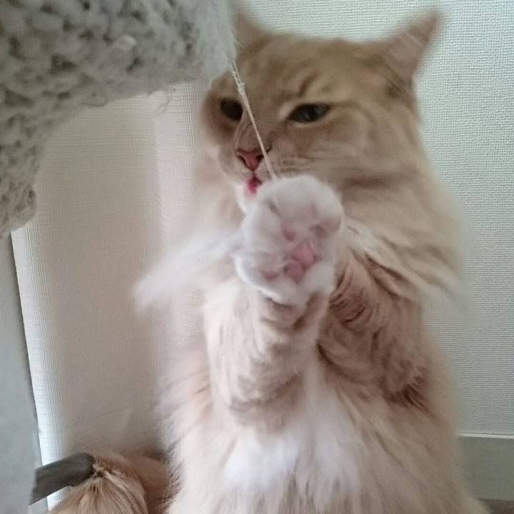 A0be7d47 8873 47f4 b99b 564e82ce39ae