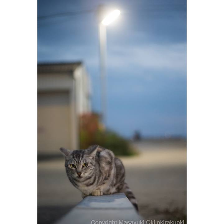 A0bf13d3 b42b 4f4e 97b1 2fd4de2cc20a