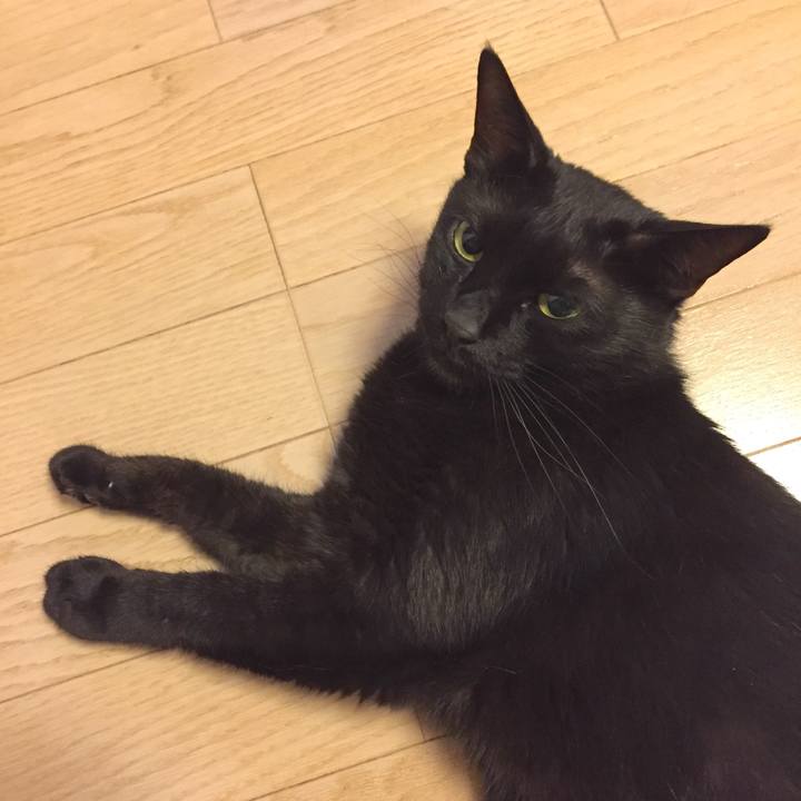 A0bf21f2 b82b 4e5a aef9 b9b067219ad0