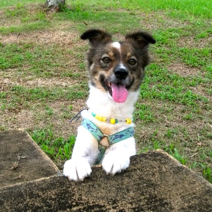 A0bf7f79 8830 4846 819a 2943eacf0270