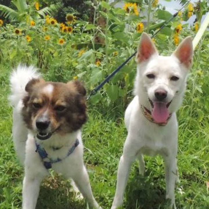 A0bf8c54 8db9 45a6 8ea7 3c517a115777