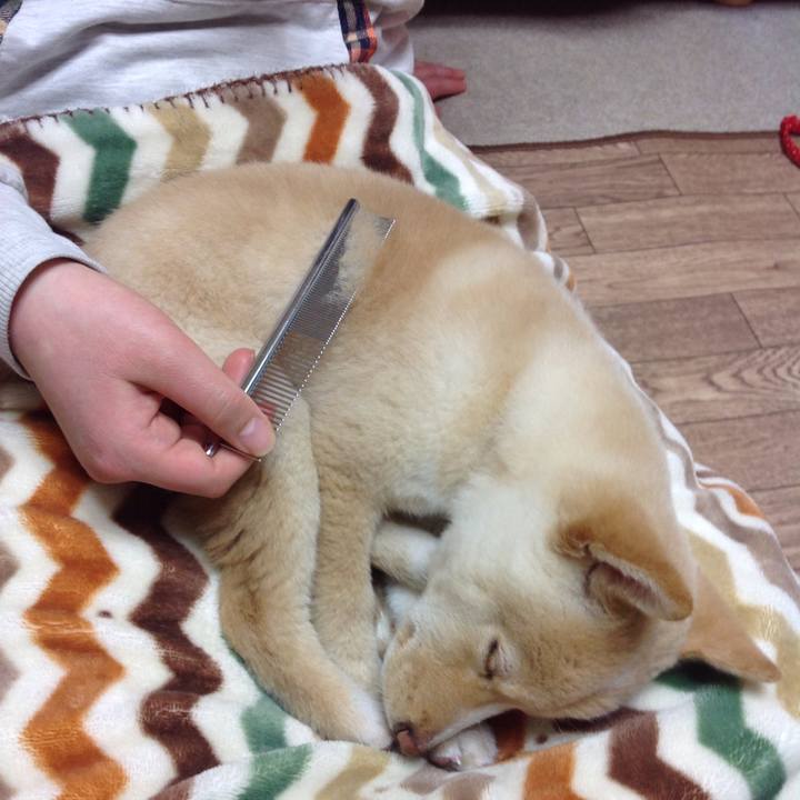 A0c03721 d9fe 4cac 90a8 5925b2e94586