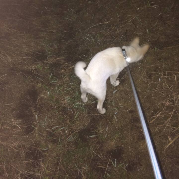 A0c0495e a439 4271 84e4 85c501dcde83