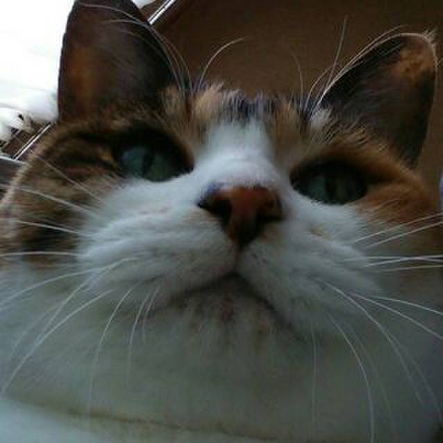 A0c06a47 a008 40c3 8120 14140684e1be