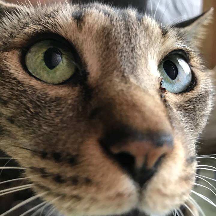 A0c06fe3 6d8d 44be 9b00 5ec8b61f1118