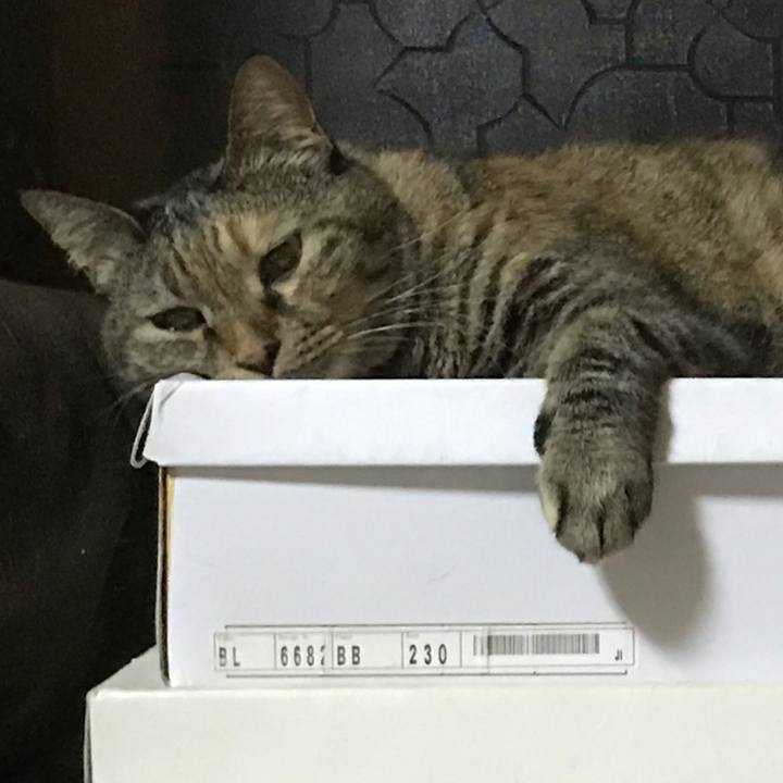 A0c0b3c2 bd1e 4bc8 bc25 91b350d36631