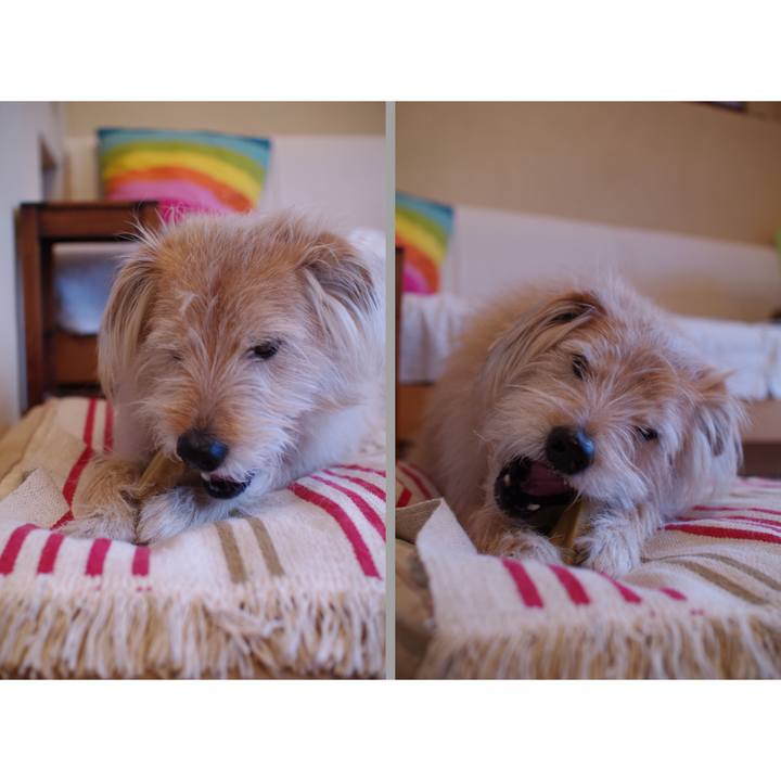 A0c0bd54 6585 4a91 a927 5054862b0ad9