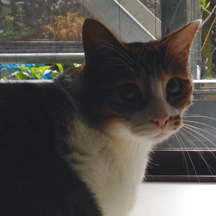 A0c11931 fcd6 469d 8e2d 18abb2a81608