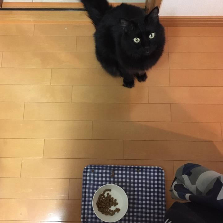 A0c14faa 751a 4fe2 a41c 4e2de9e14a67