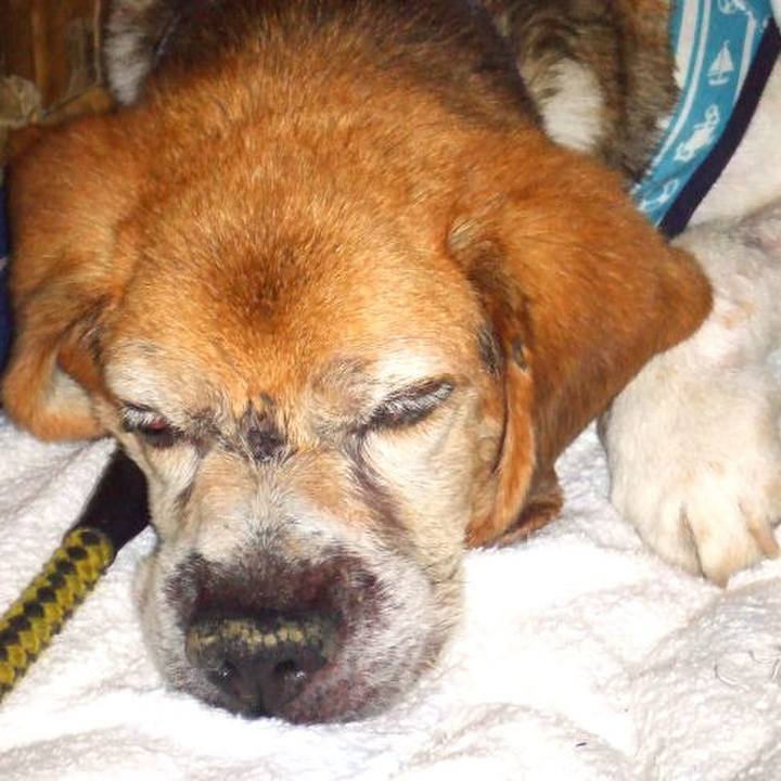 A0c1c3ed 6829 4f03 948d 8b0e16243975