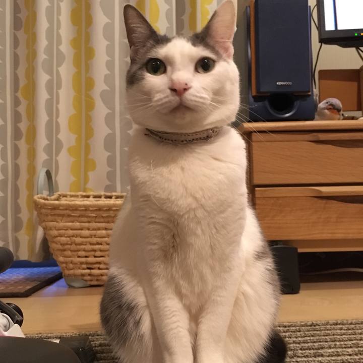 A0c200eb d057 41c7 bb1d 7ee6f9bbc934