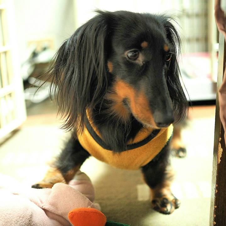 A0c27497 1896 4849 8ea8 644733c11c1b