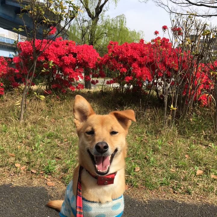 A0c3abd4 d05f 47e2 8546 0dbb6192d884