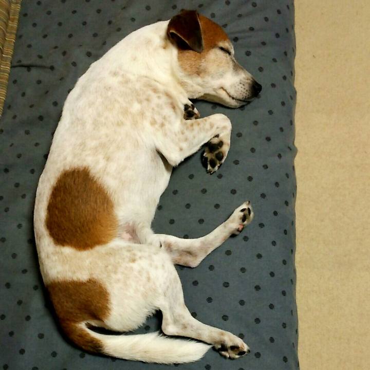 A0c4407f e363 493f 8882 d26e8e2fd2e4