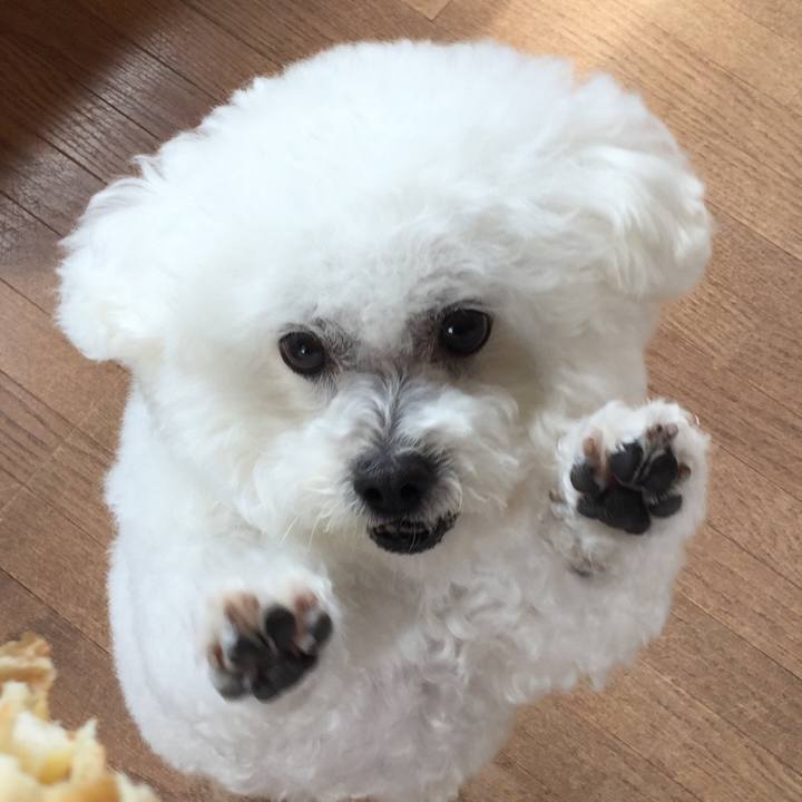 A0c458e2 b3ba 4543 be19 fa881c20cae1