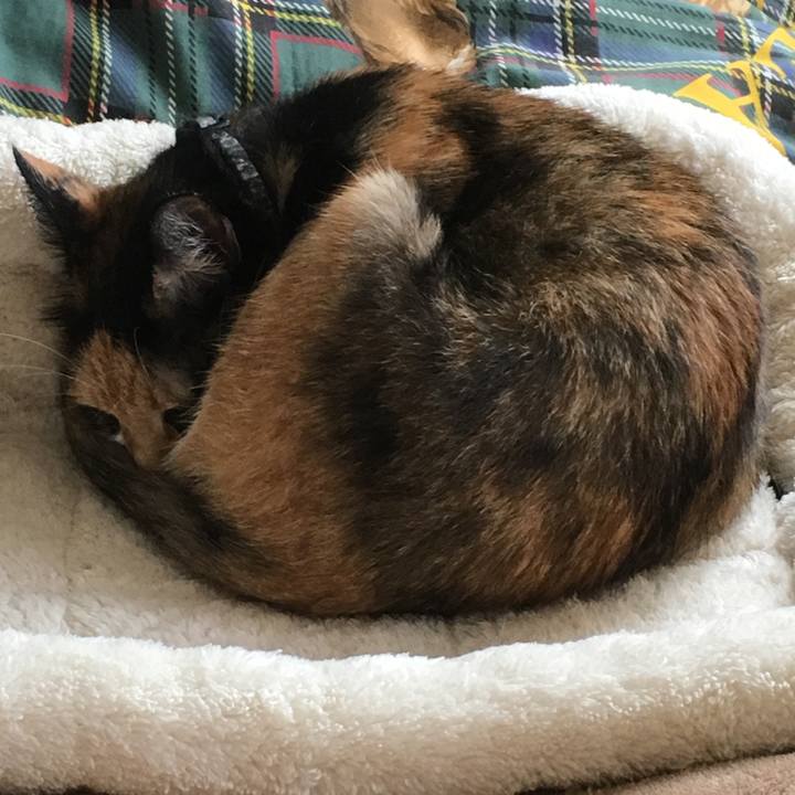 A0c4da2b d5b4 4db3 b883 2677a95e91a3