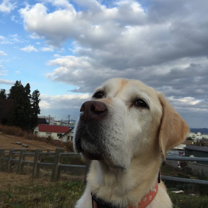 A0c55e8b d08d 466f adac 439e81149138