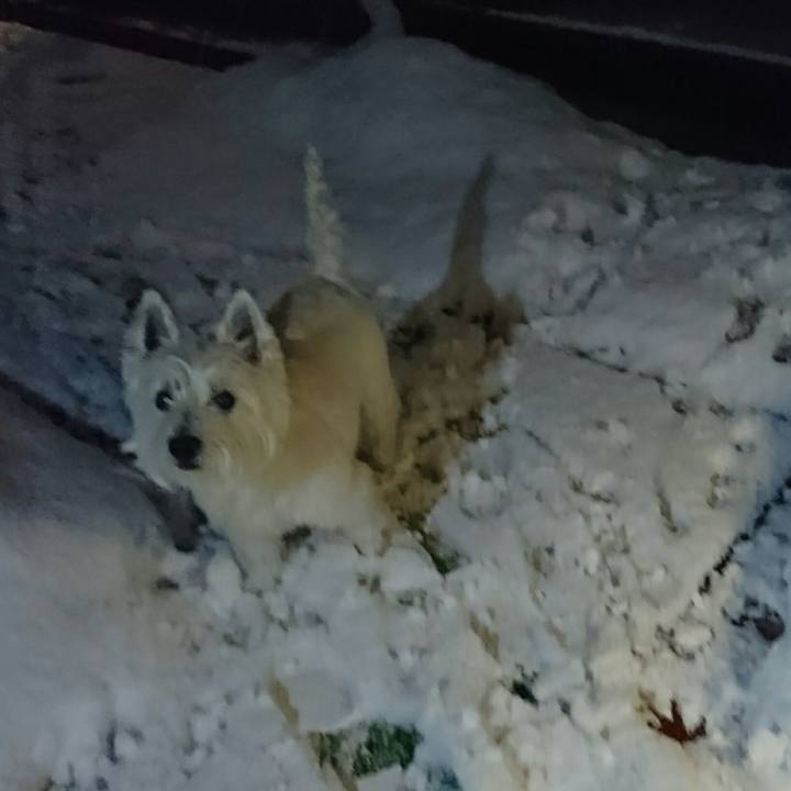 A0c56067 4d29 4228 abc3 0abb750843f8