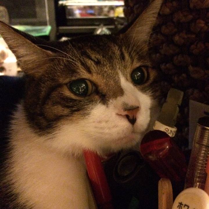 A0c5b18d c679 4319 aeb9 406ee9fe13ef