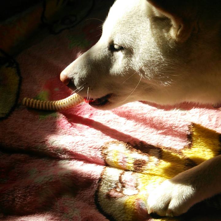 A0c5c145 cfcd 4713 ab47 e5d5f2b6a7b2