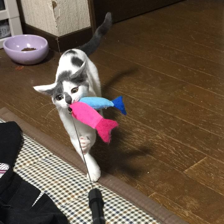 A0c5d912 a480 4124 aab9 17560876526a