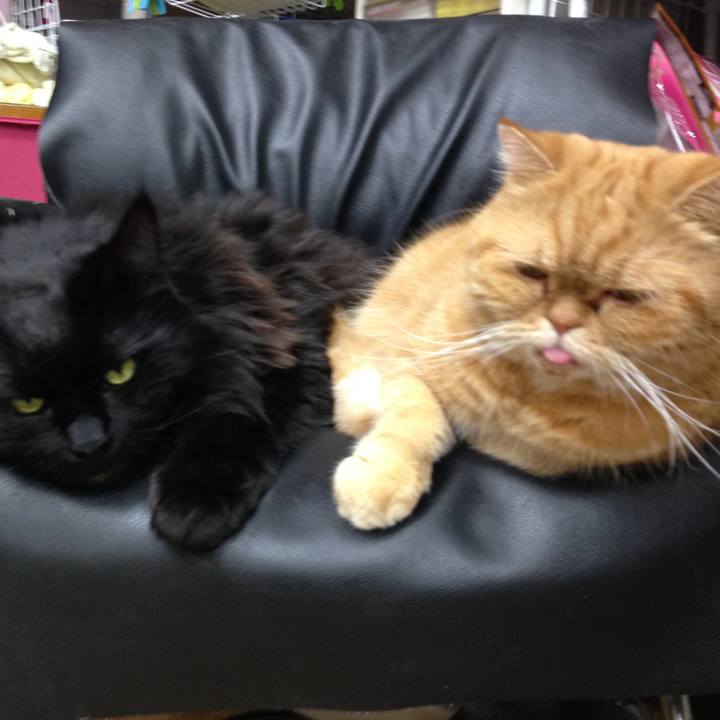 A0c6695b bb36 4fa2 9d94 f06c4c8f00f8