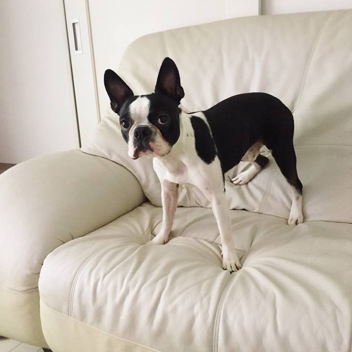 A0c7244f cce4 4636 b981 4ece0c1b1122