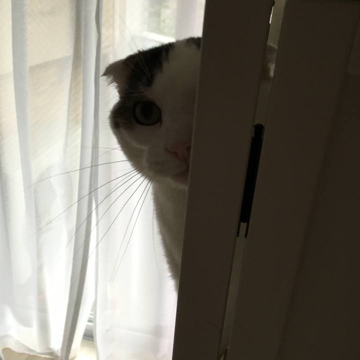 A0c73ae4 a2c1 48cc 9f48 842d55defbb7