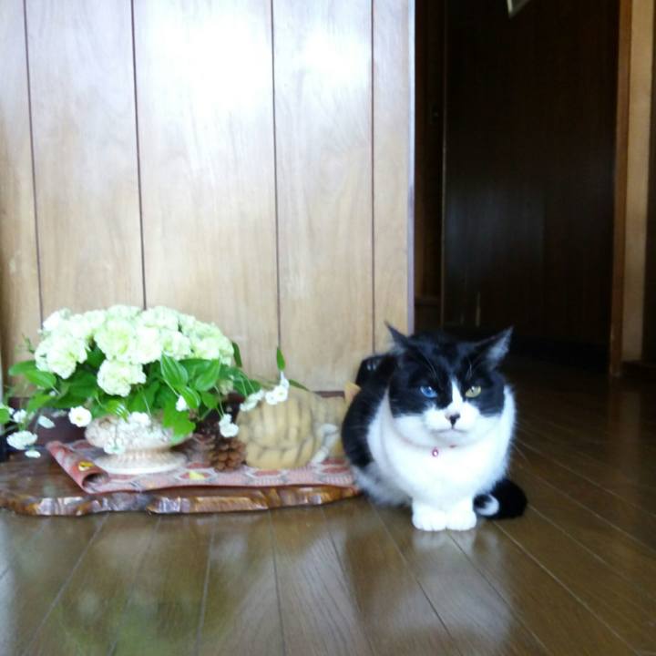 A0c78584 e94e 487e 80c9 f04b416695dd