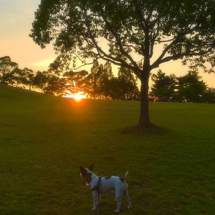 A0c7d5e5 e23f 43bc a9fd 2a7c4033e0ef