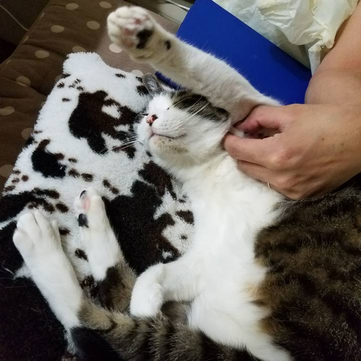 A0c7d65b 854f 4aa5 ba1c c25527354a1a