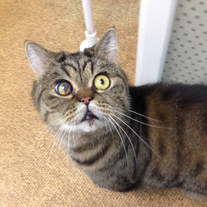 A0c7ffb9 8513 4b5a 867b cdf7242a8c91