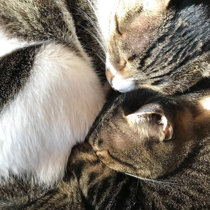 A0c883e9 01a4 4f99 80b1 f349768675fe