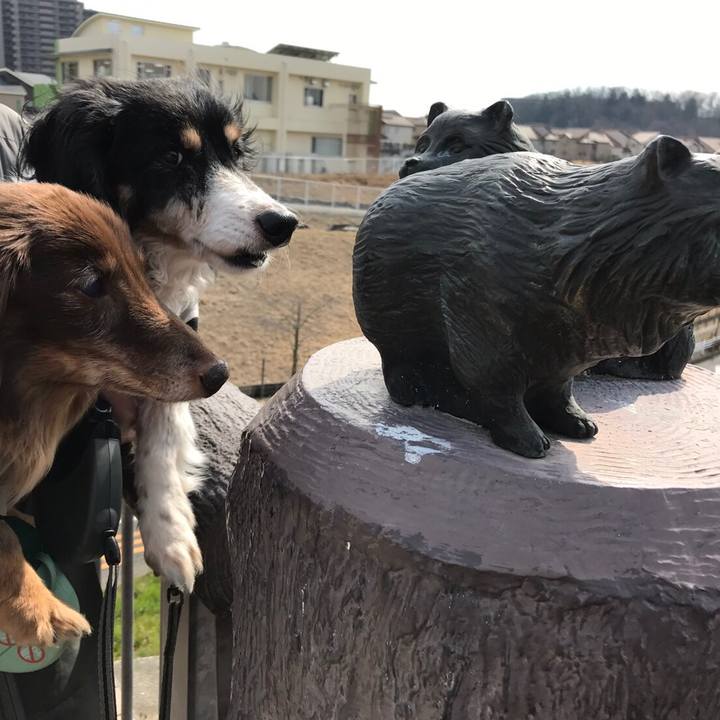 A0c8bf20 cc68 480f 8946 63e304db7736