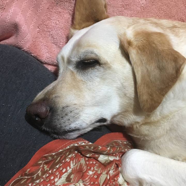 A0c92b2b 3769 4129 aa0f 7856a0a5aeda