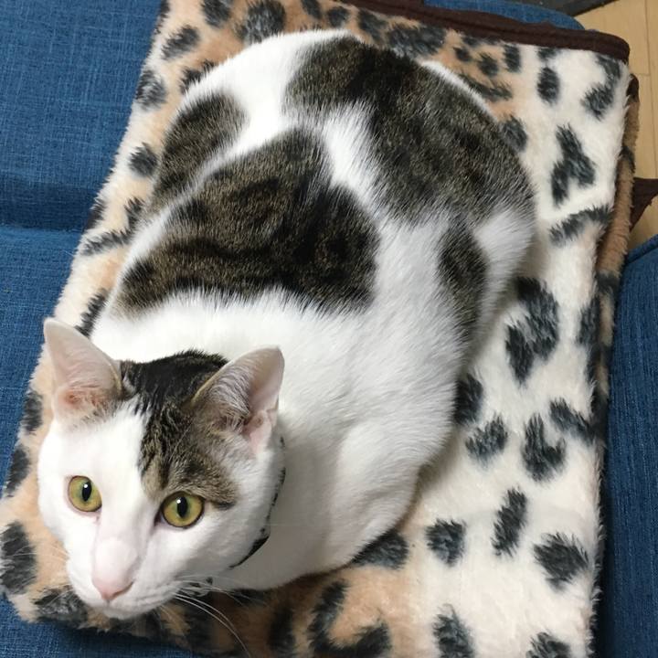 A0c9319d 1e6e 42ef a1ab 64bb6a2680d6