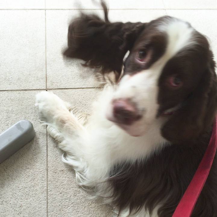 A0c988b8 9dfa 438d 8db4 ade39f88910b