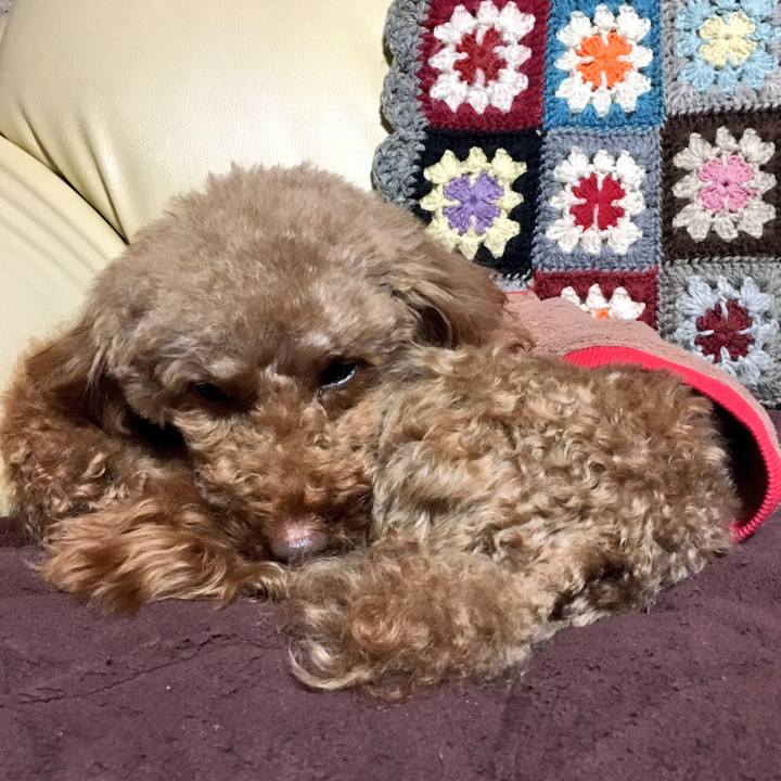 A0cabc20 4e80 4245 a1f3 5f0bae7c3a46